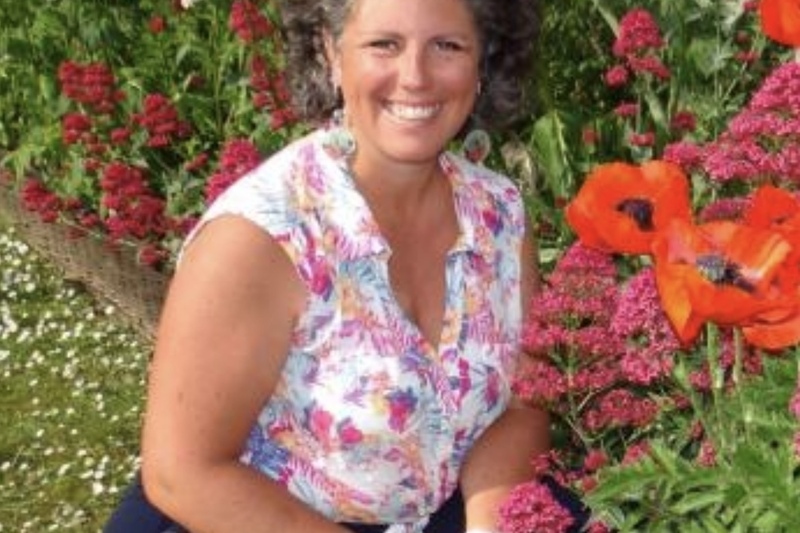 Les plantes médicinales