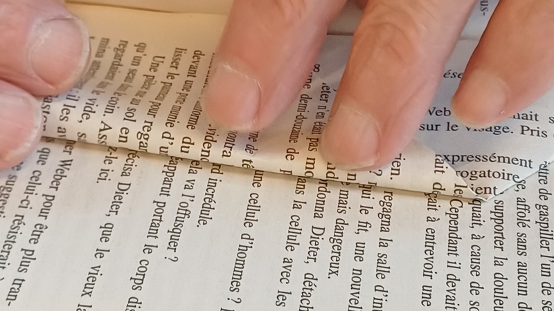 Découverte de la sculpture sur livres 